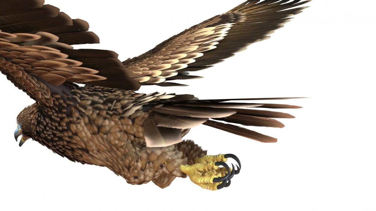 3D Realistic Imperial Eagle Rigged