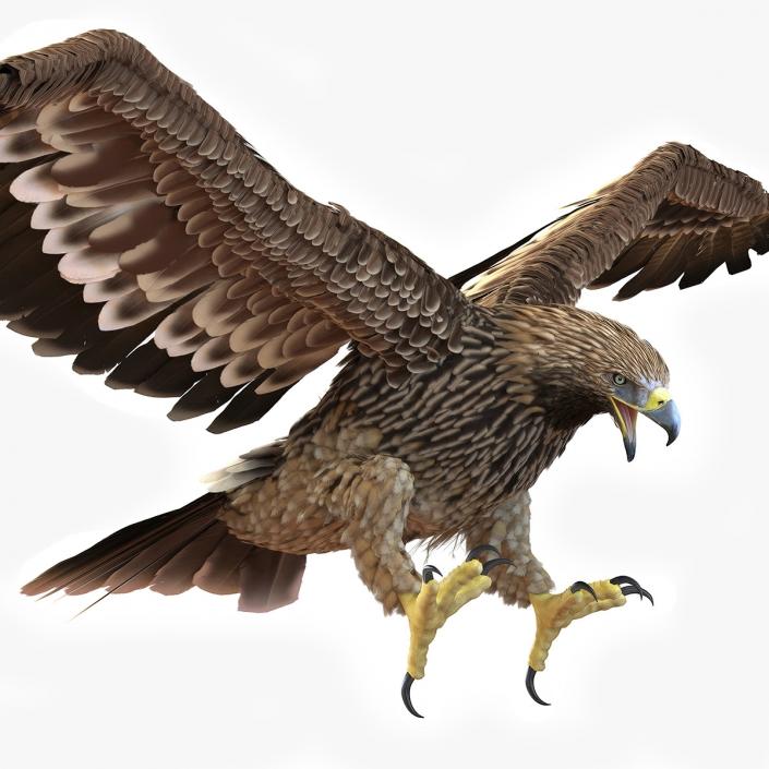 3D Realistic Imperial Eagle Rigged