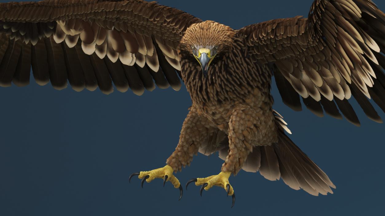 3D Realistic Imperial Eagle Rigged