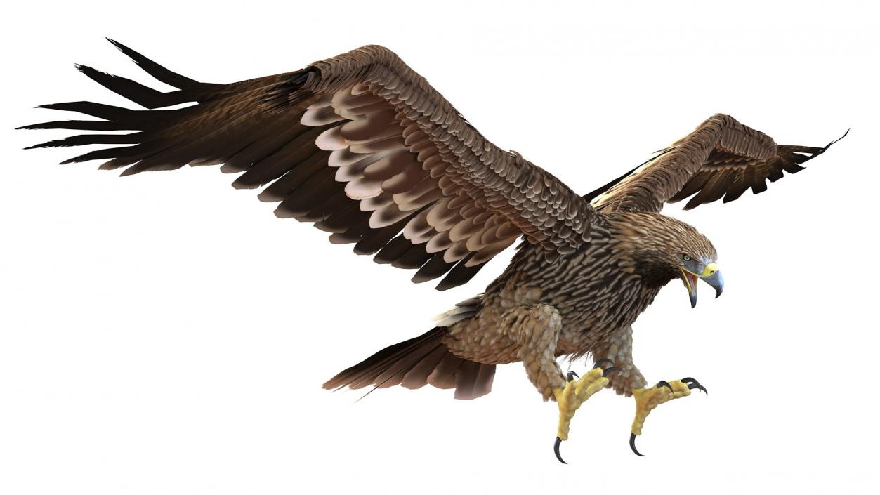 3D Realistic Imperial Eagle Rigged