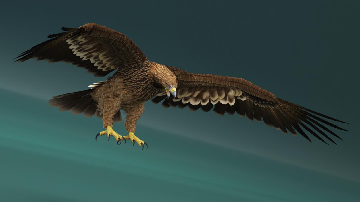 3D Realistic Imperial Eagle Rigged