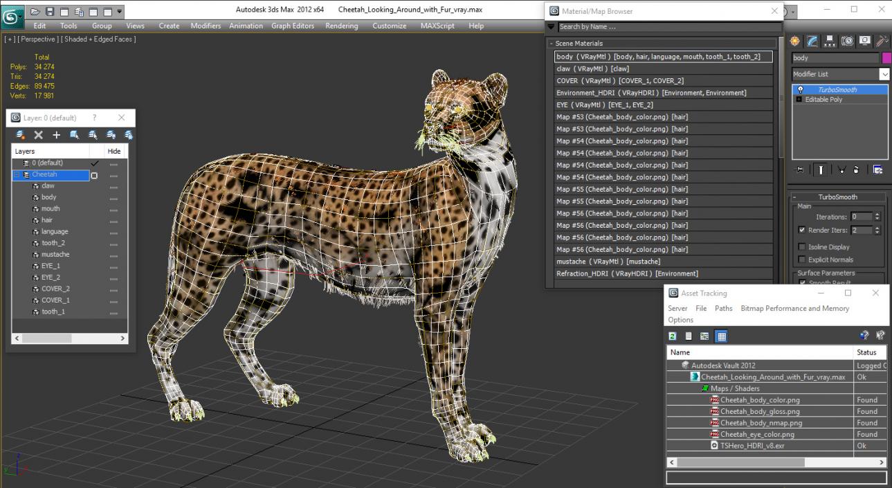 3D Cheetah Looking Around with Fur