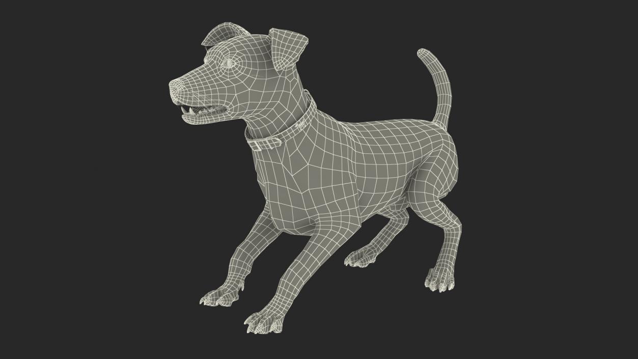 Spotted Jack Russell Terrier Fur Rigged 3D model