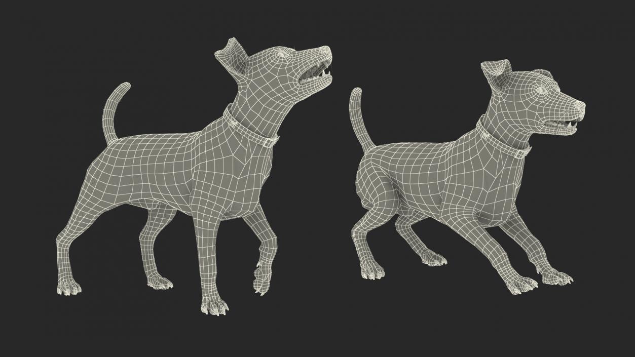 Spotted Jack Russell Terrier Fur Rigged 3D model