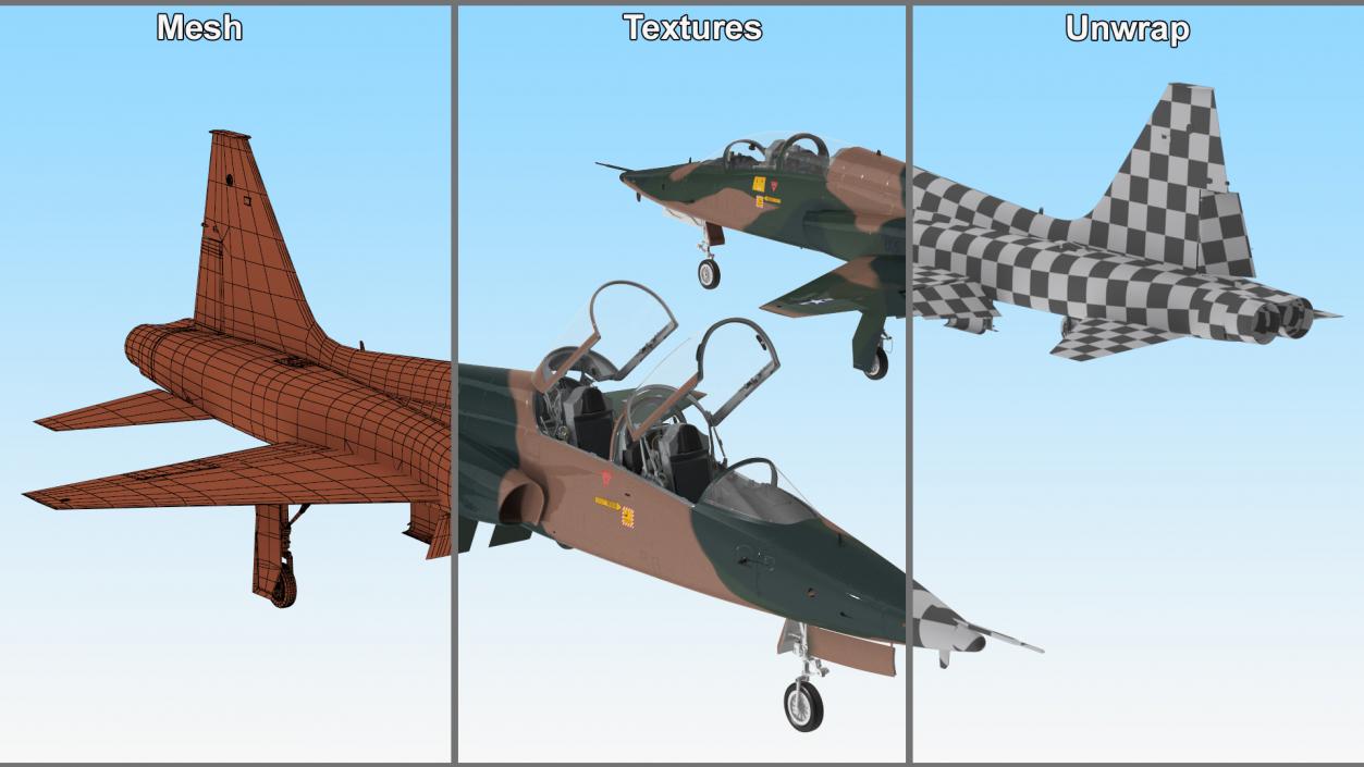 3D Trainer Jet Military T-38 Talon Camo Rigged model