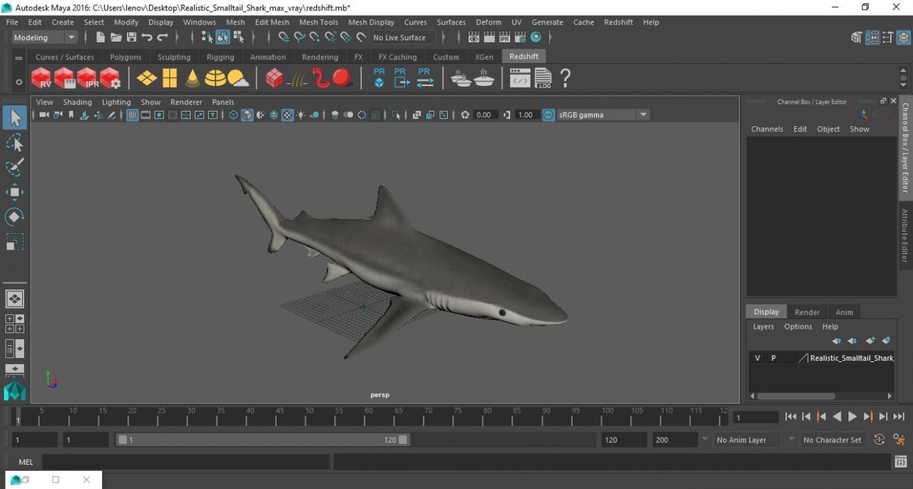 3D model Realistic Smalltail Shark