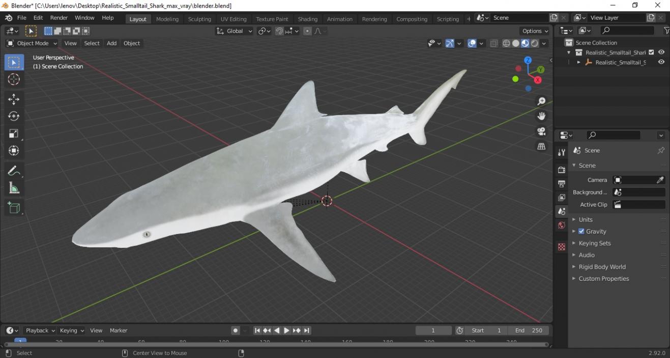 3D model Realistic Smalltail Shark