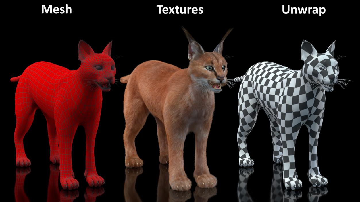 3D Caracal Fur