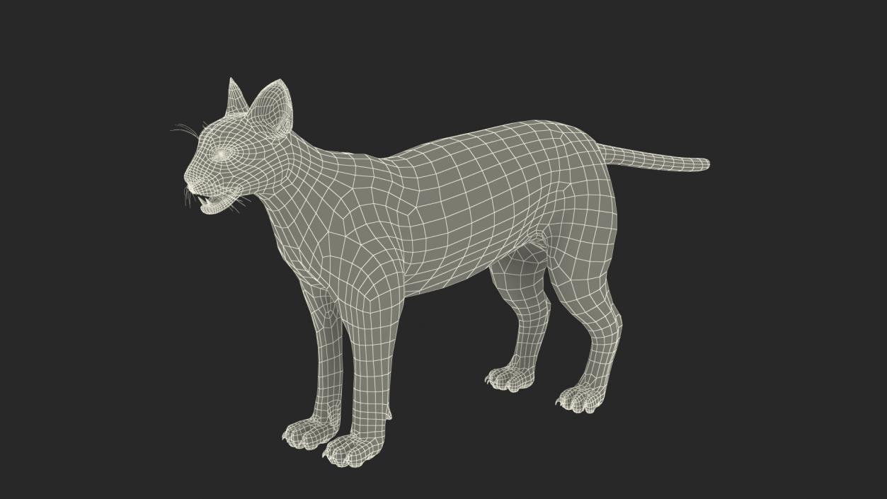 3D Caracal Fur