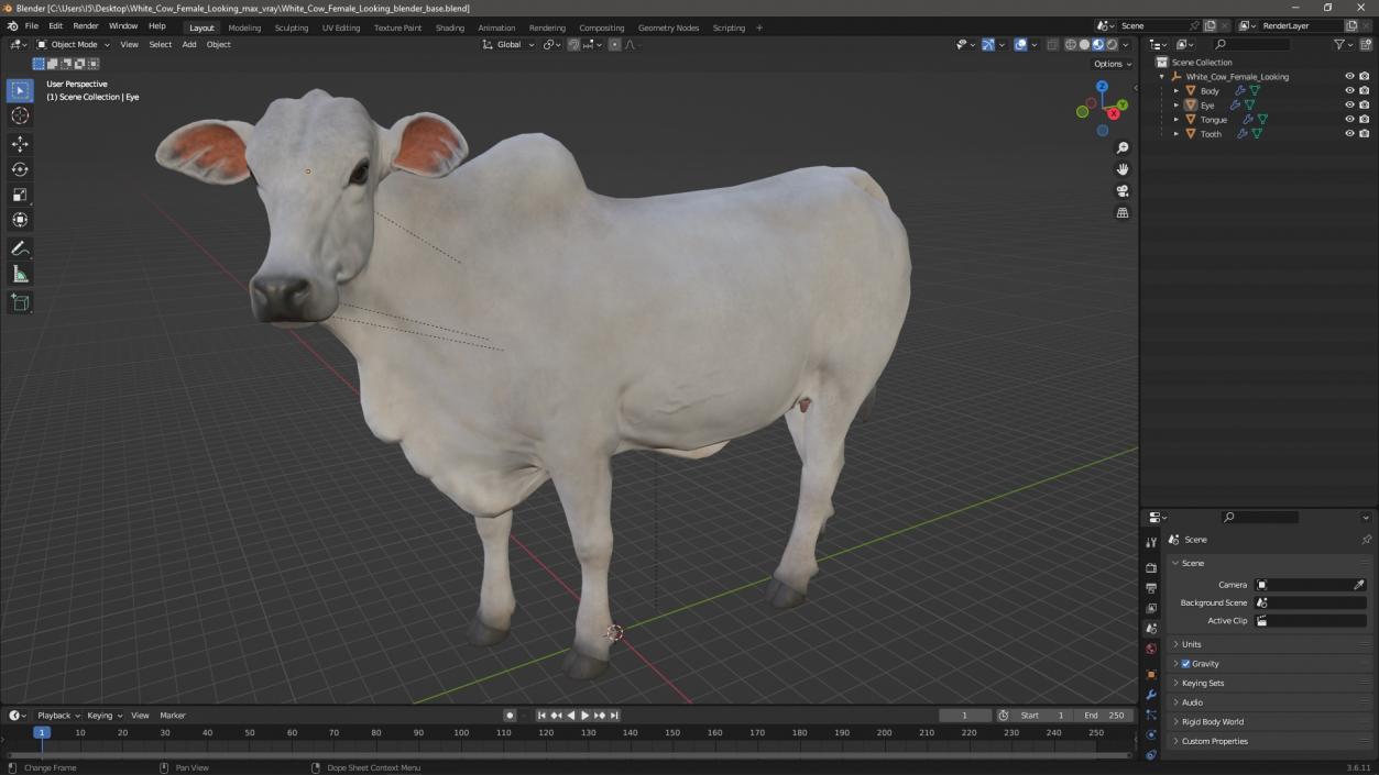 White Cow Female Looking 3D model