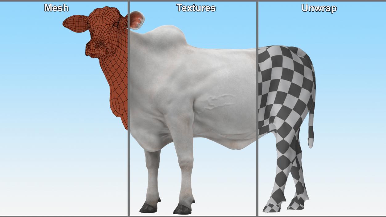 White Cow Female Looking 3D model