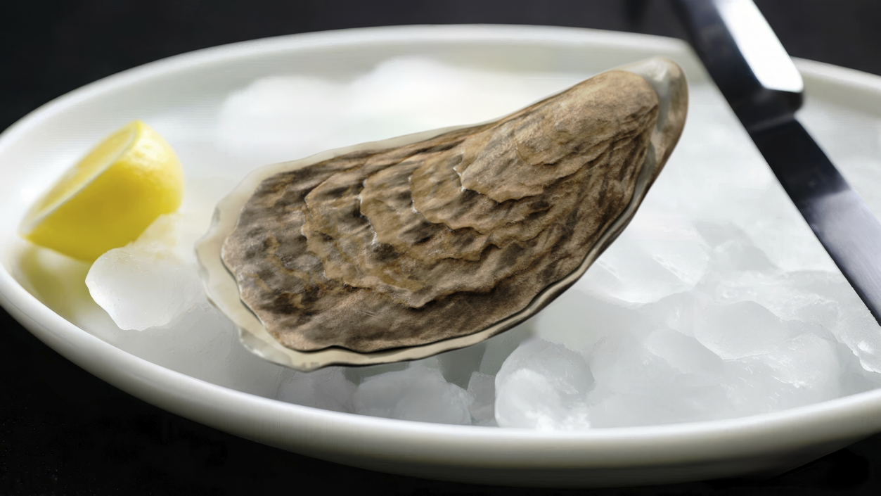 3D model Oyster