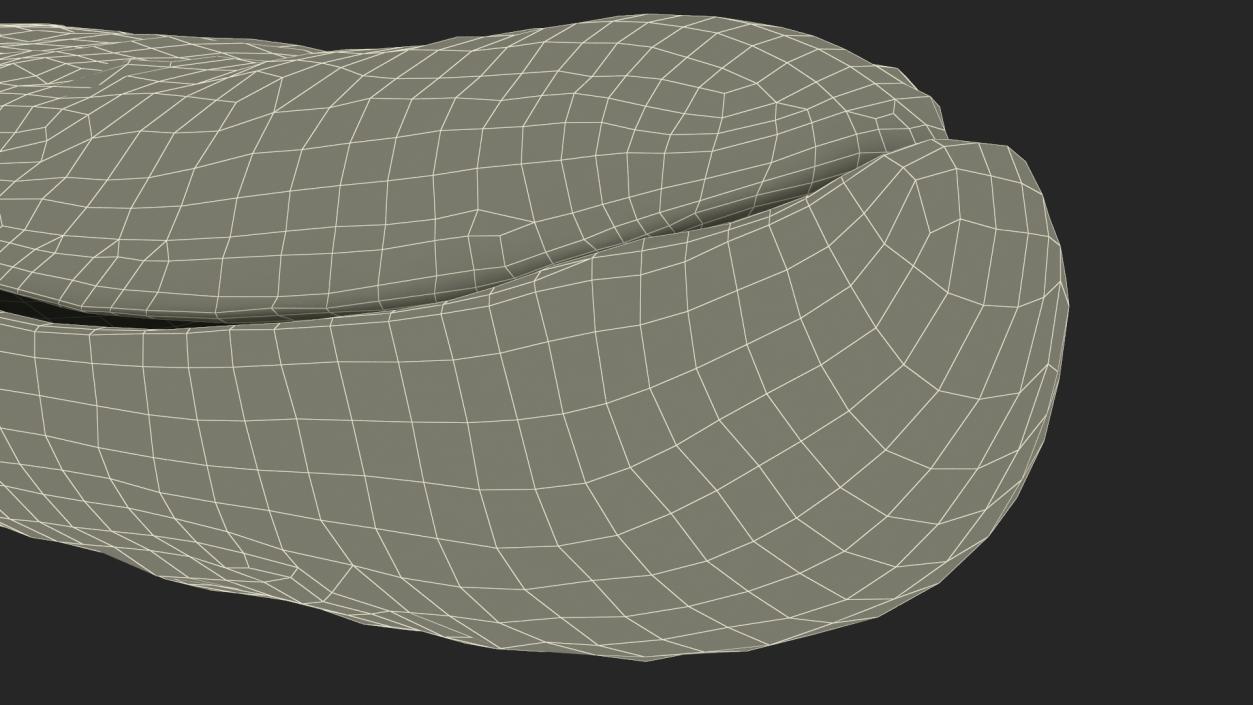 3D model Oyster