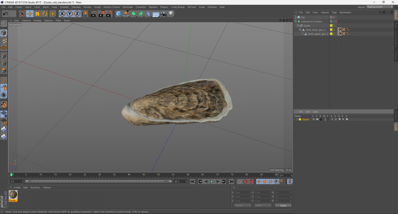 3D model Oyster