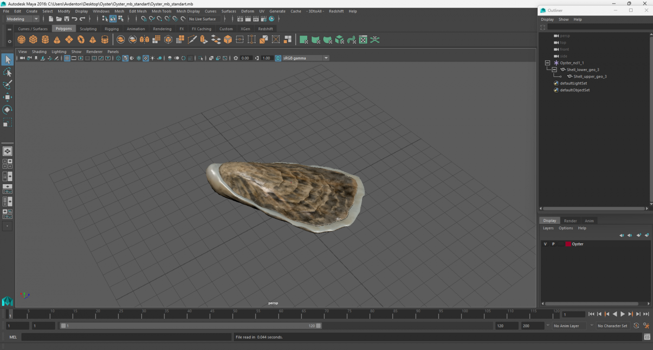 3D model Oyster