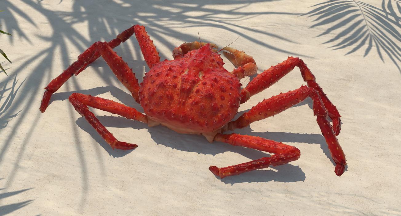 3D Crabs 3D Models Collection 3 model