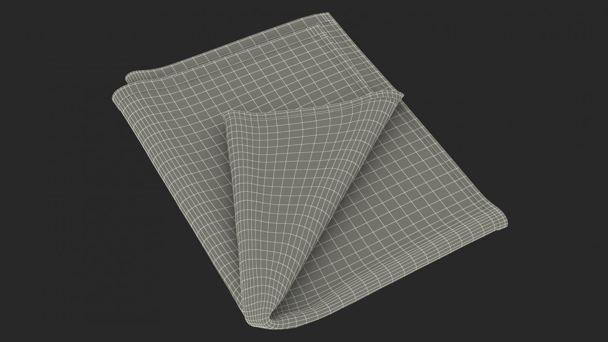 Folded Bath Towel 2 3D model