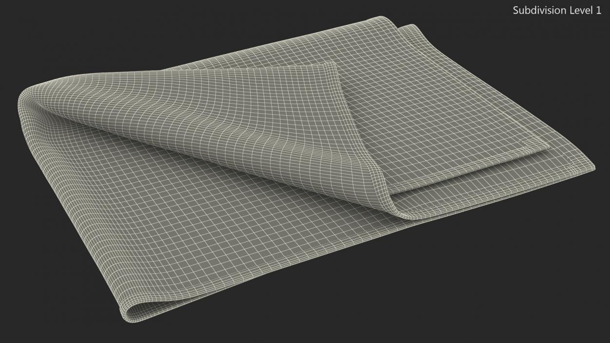 Folded Bath Towel 2 3D model