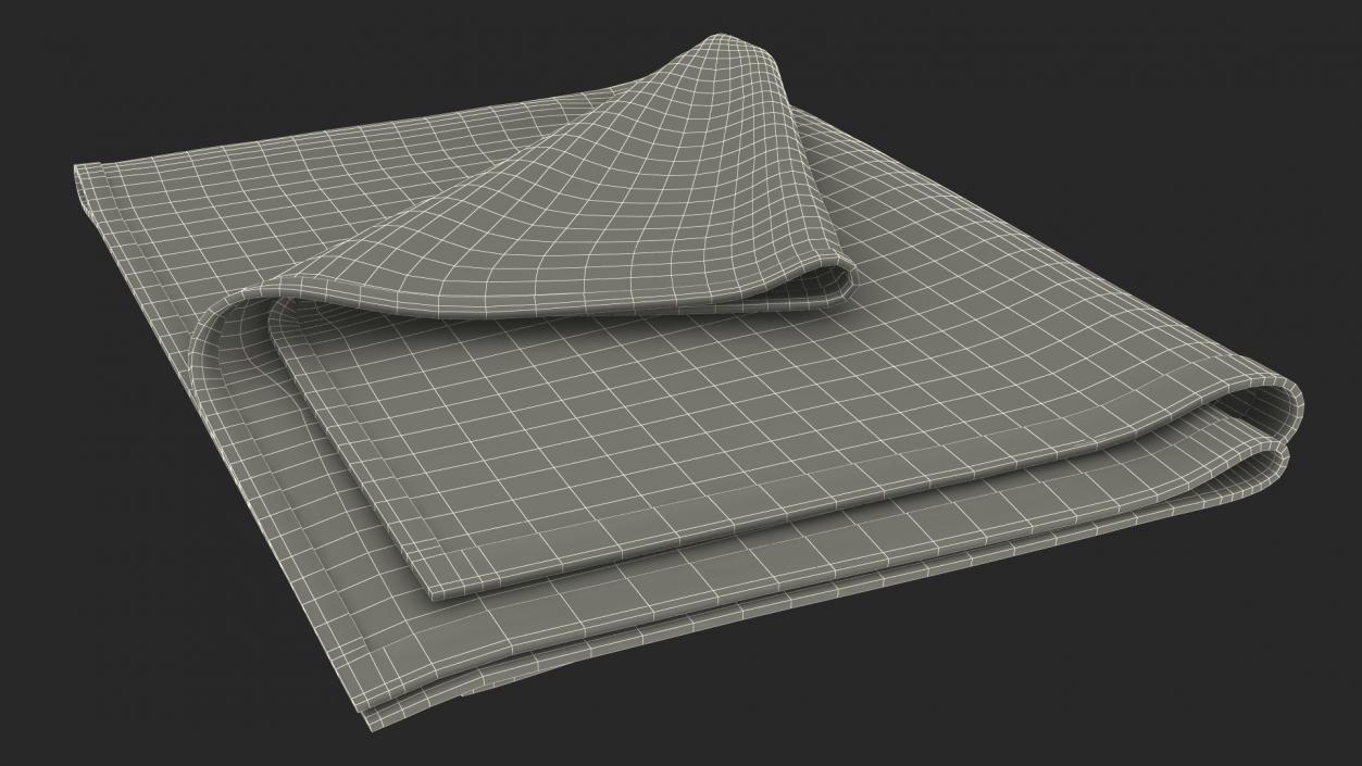 Folded Bath Towel 2 3D model