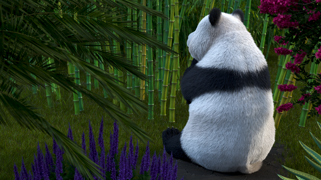 3D Giant Panda Sitting Pose Fur model