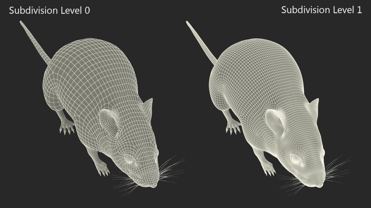 Kakadu Pebble-mound Mouse Base Pose Fur 3D model