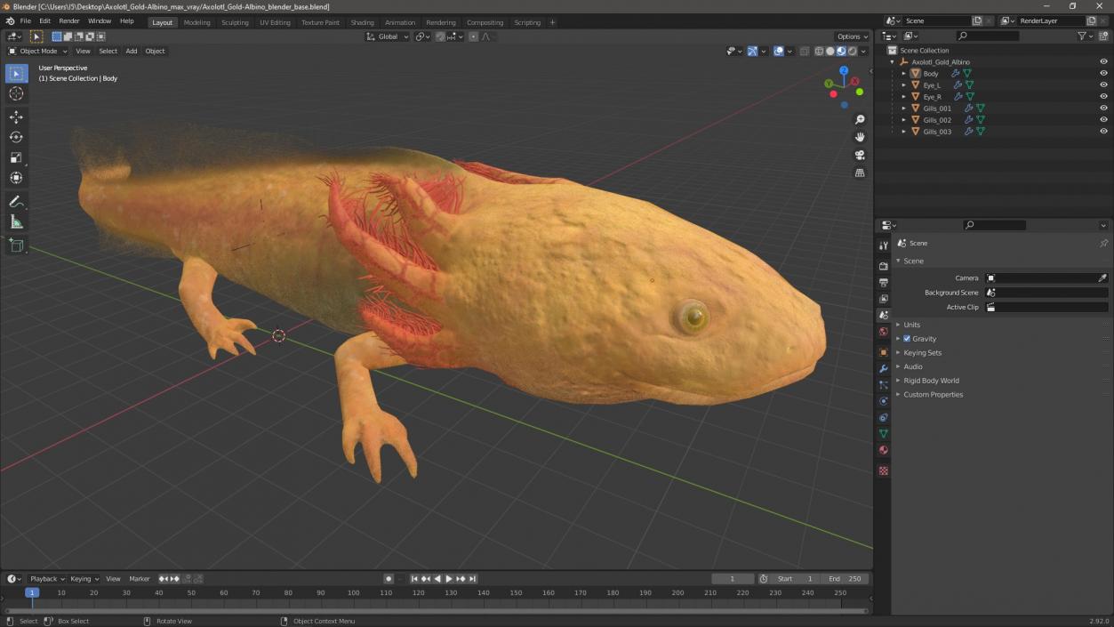 Axolotl Gold-Albino 3D model