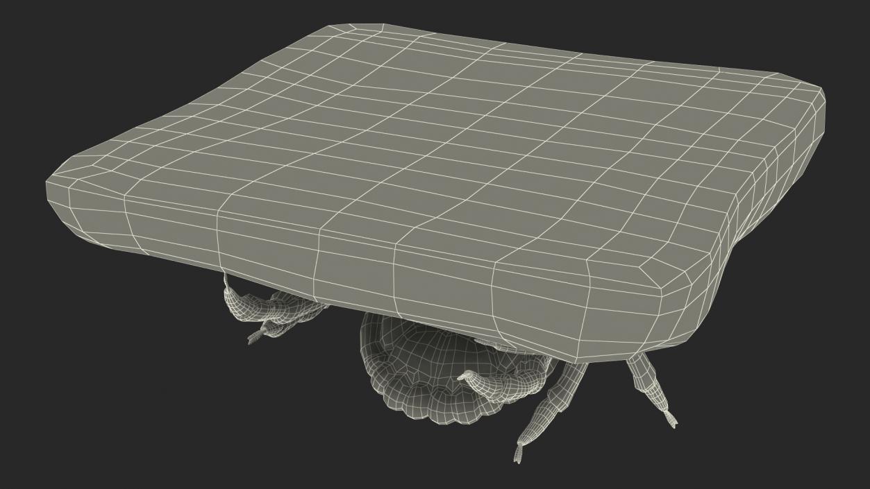 3D Tick Stuck in Skin model