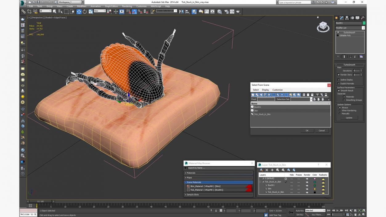 3D Tick Stuck in Skin model