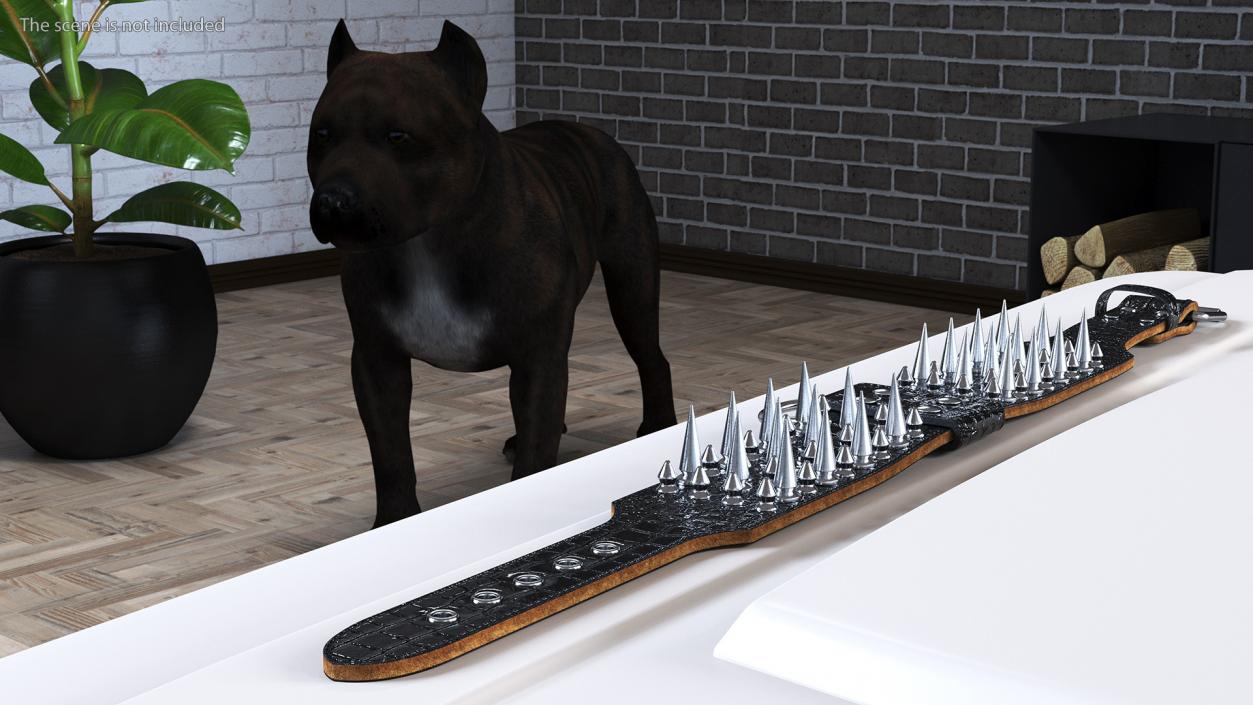 Pets Spike Collar Lying Black 3D model