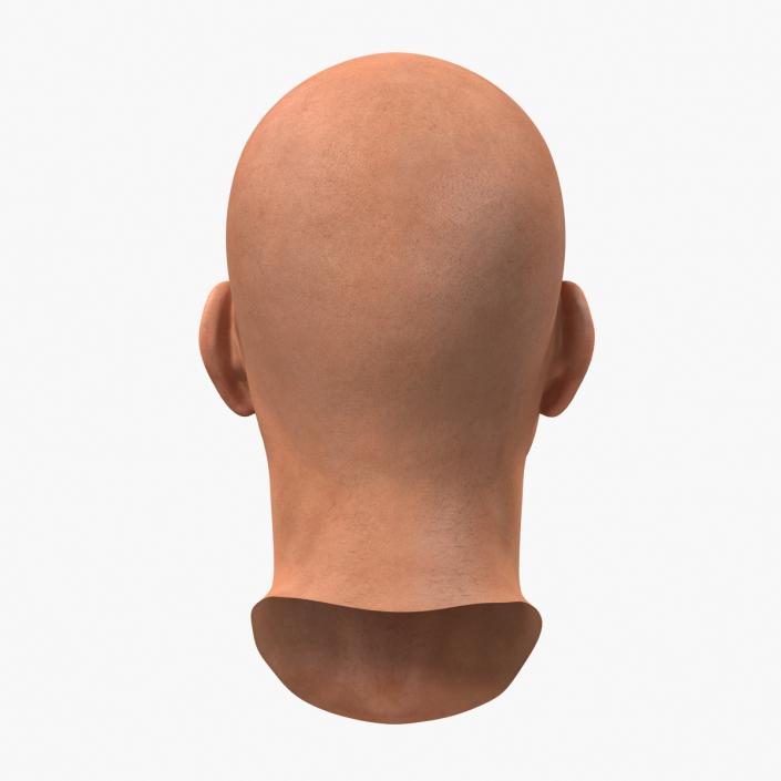 3D Male Head 6