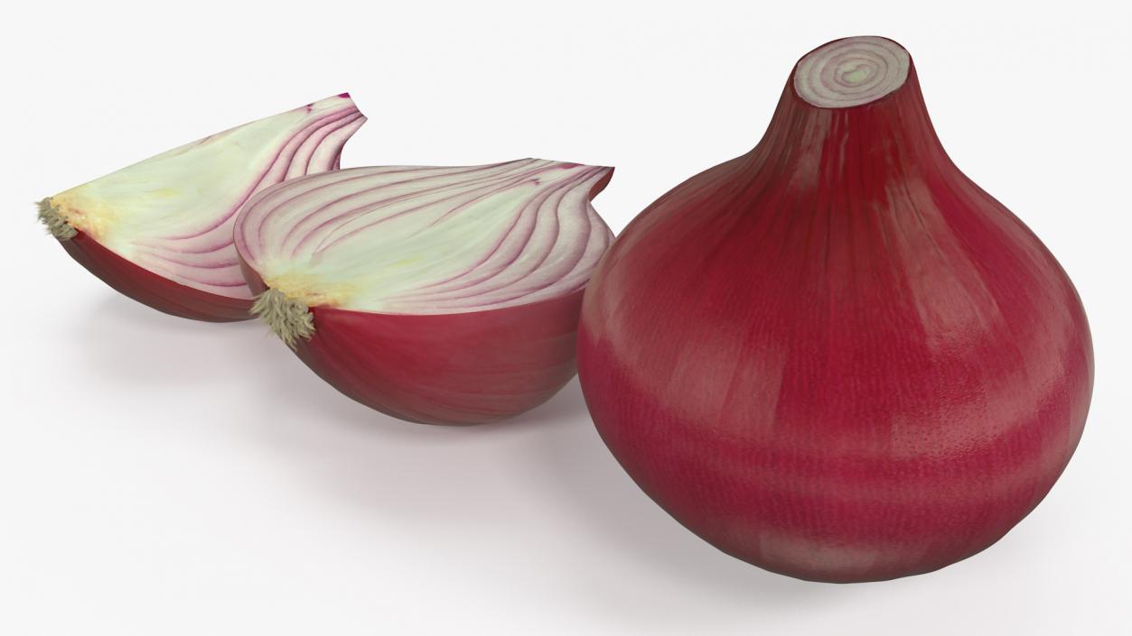 Red Onions Fur 3D model