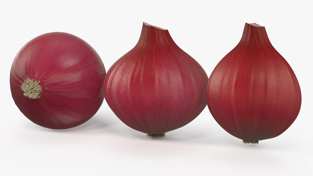 Red Onions Fur 3D model