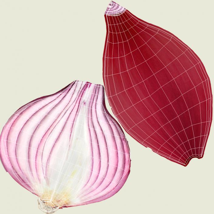 Red Onions Fur 3D model