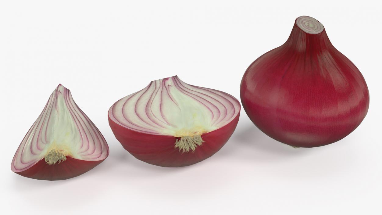 Red Onions Fur 3D model