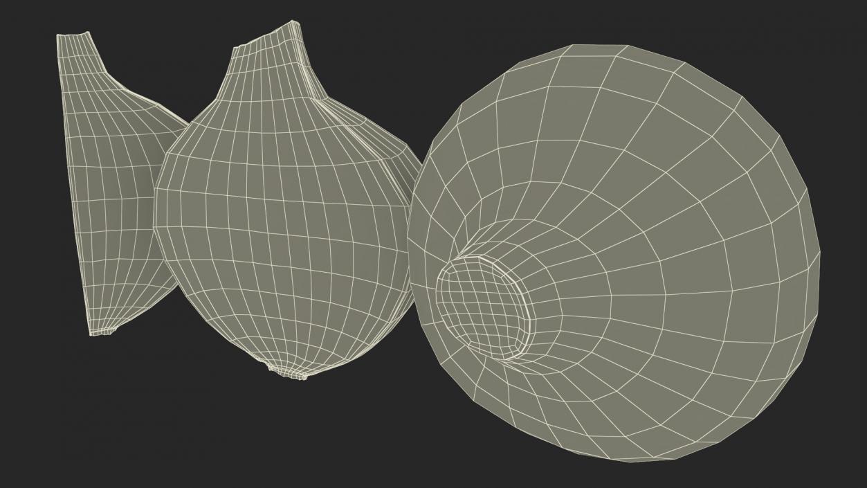 Red Onions Fur 3D model