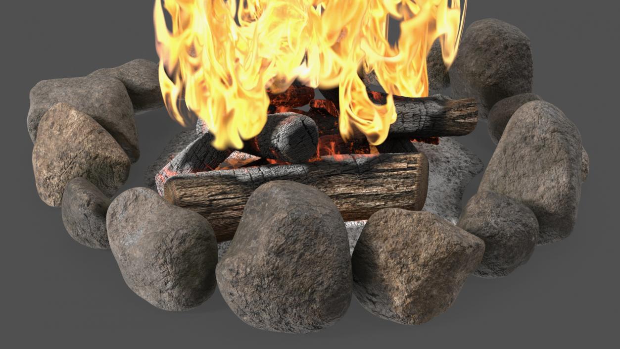 3D Campfire with Stone Ring 2