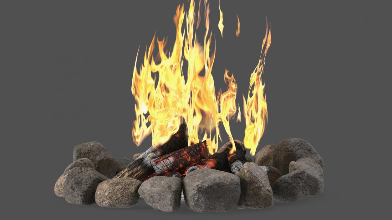 3D Campfire with Stone Ring 2