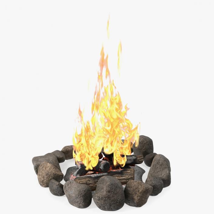 3D Campfire with Stone Ring 2