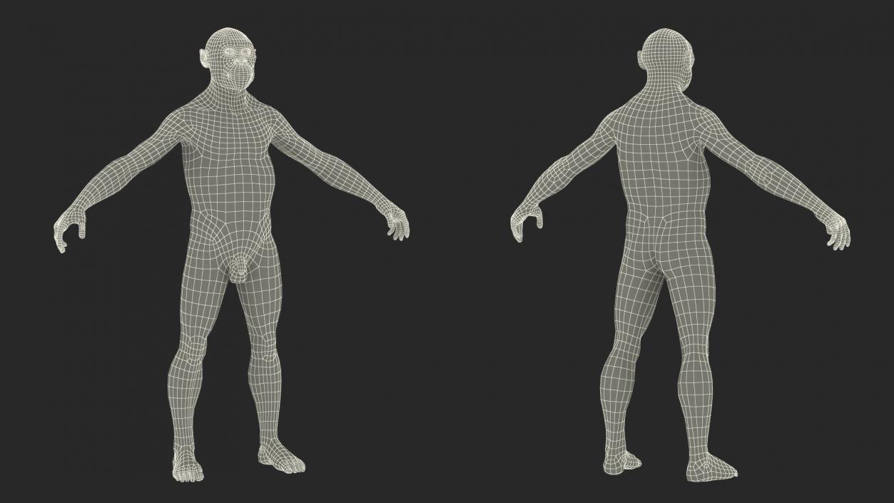 3D Homo Habilis Fur