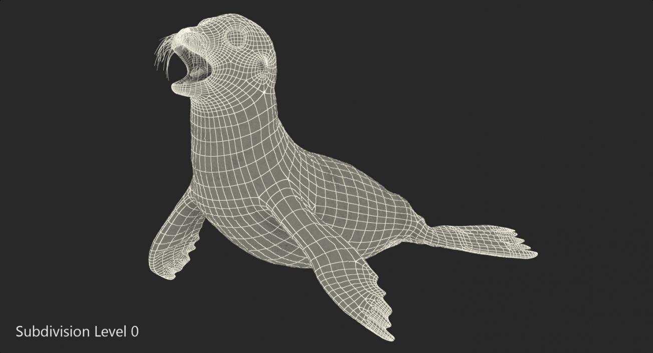 3D model Baby Sea Lion Rigged