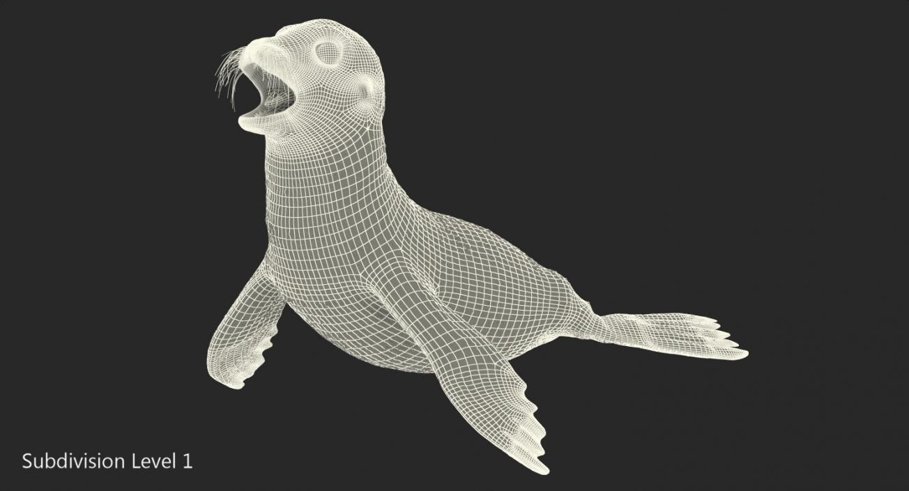 3D model Baby Sea Lion Rigged