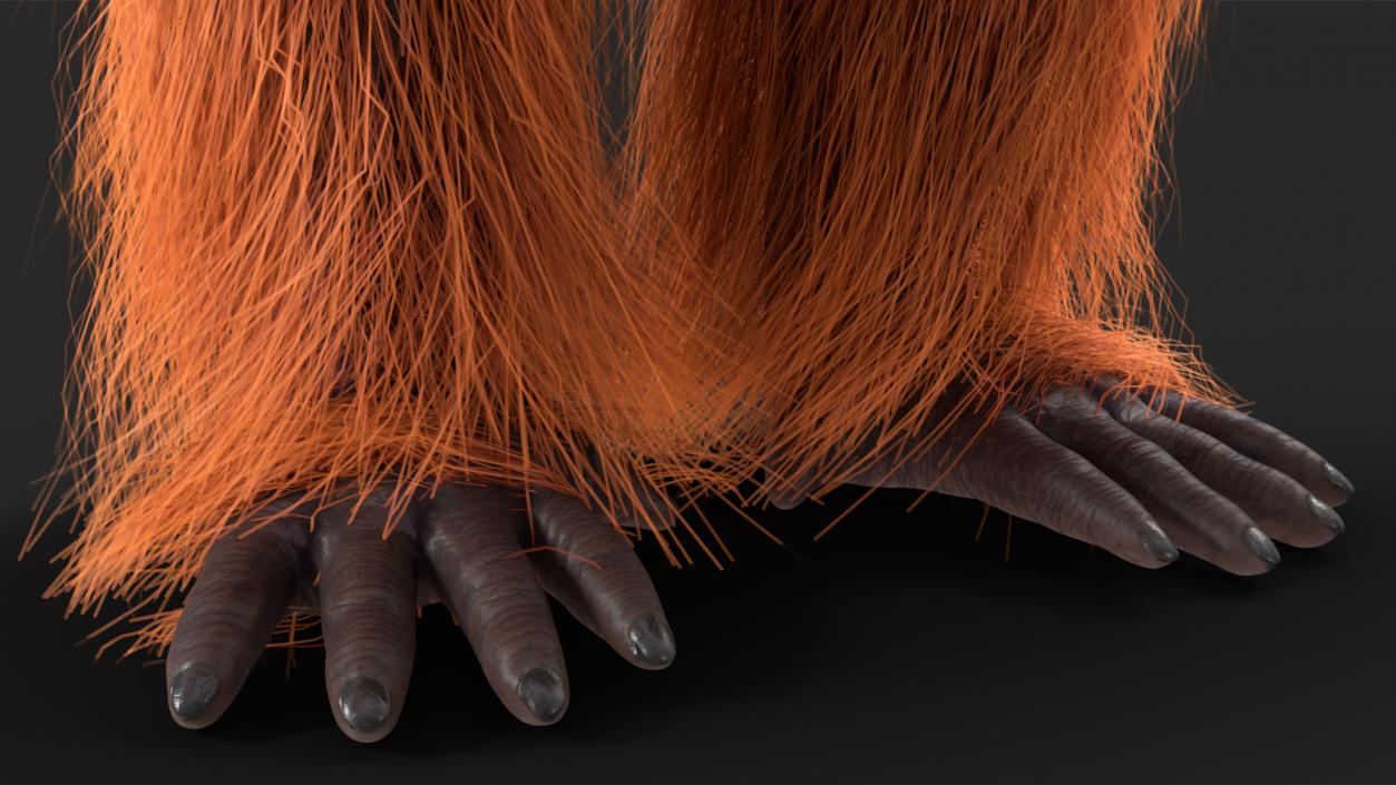 3D model Male Orangutan T-pose Fur