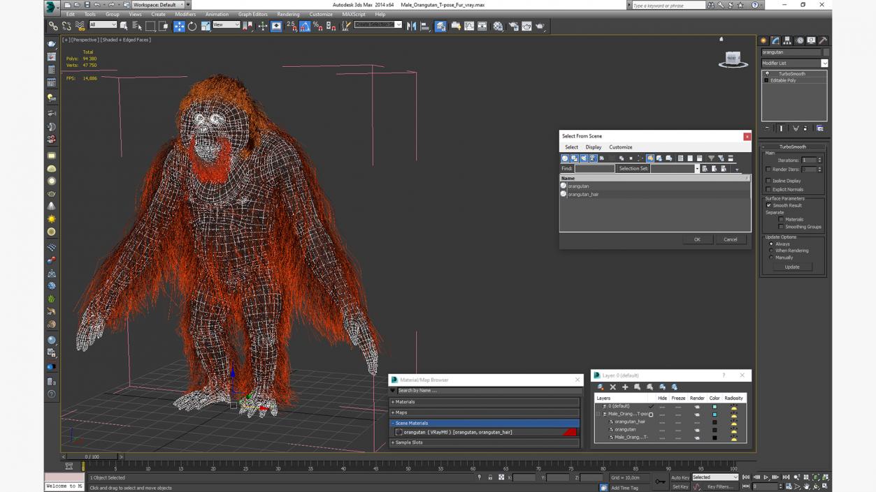 3D model Male Orangutan T-pose Fur