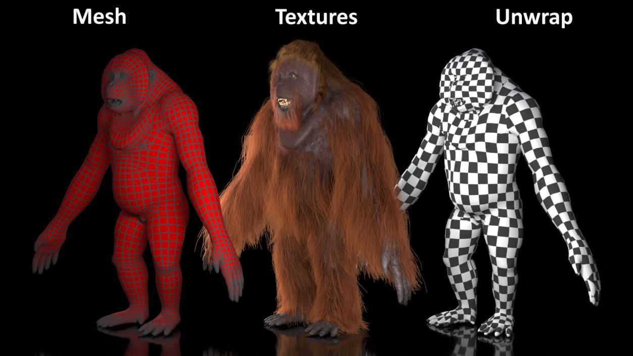 3D model Male Orangutan T-pose Fur