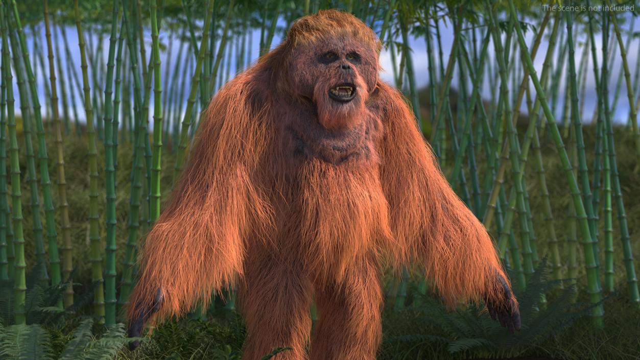 3D model Male Orangutan T-pose Fur