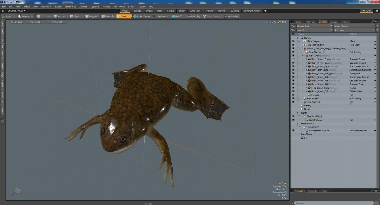 3D model African Claw-toe Frog Standard Pose