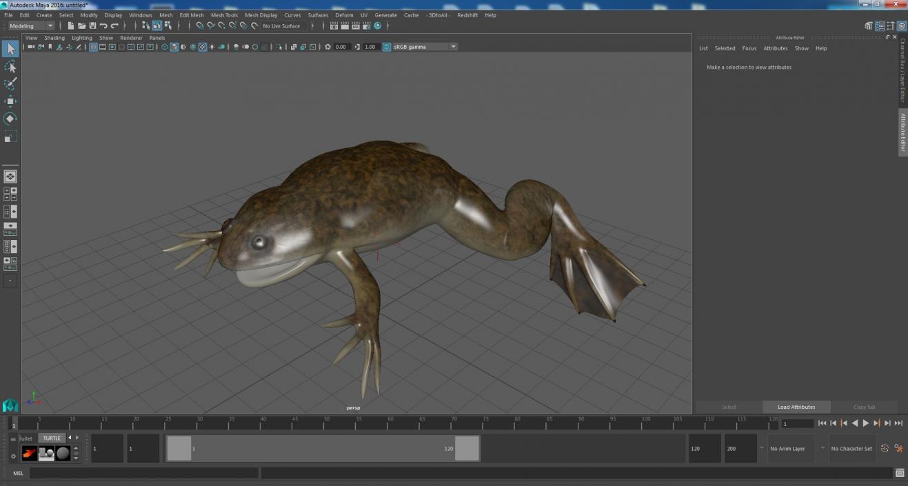 3D model African Claw-toe Frog Standard Pose