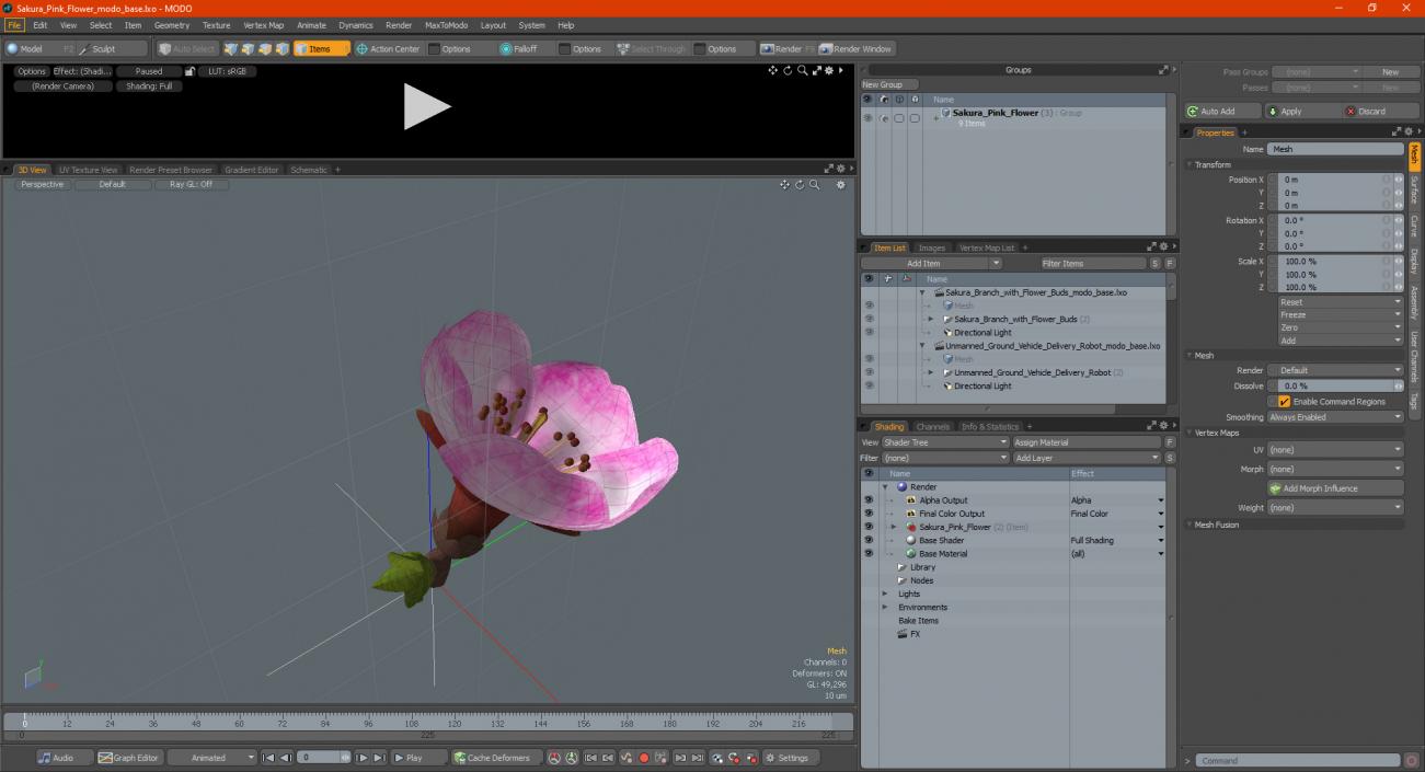 3D Sakura Pink Flower model