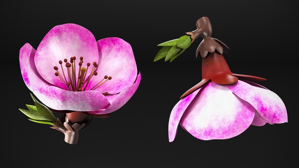 3D Sakura Pink Flower model