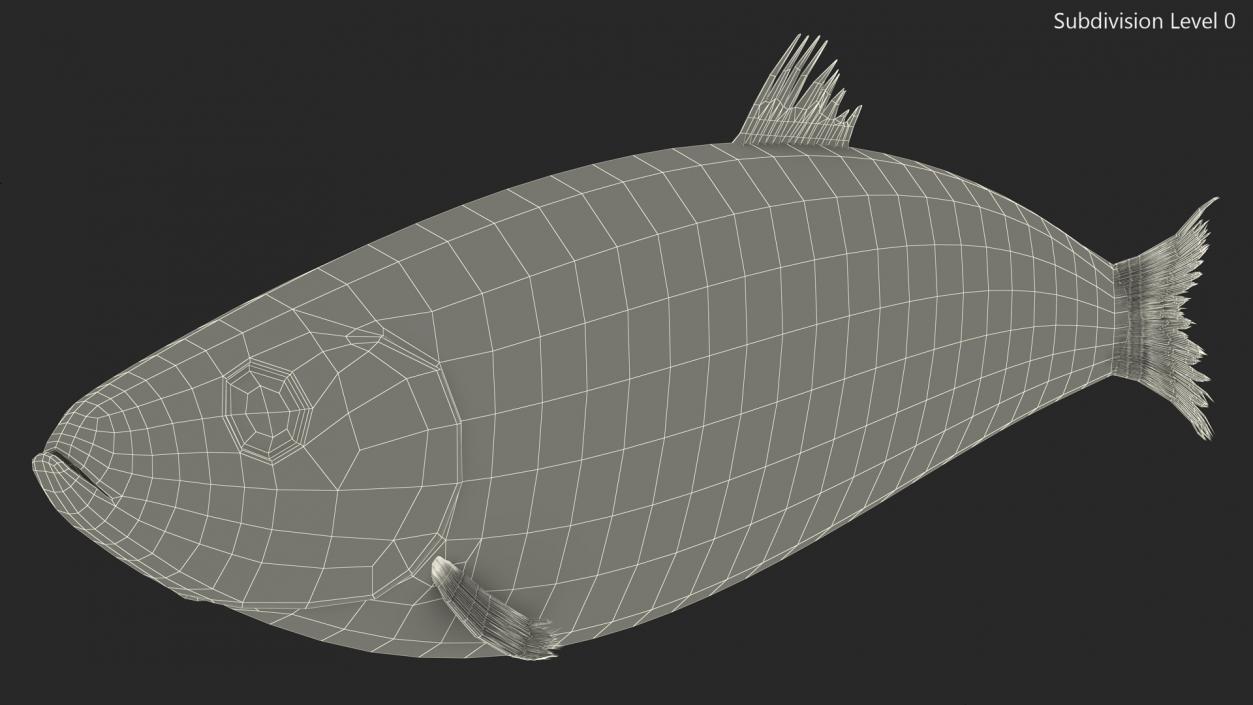 3D Realistic Atlantic Herring Rigged model